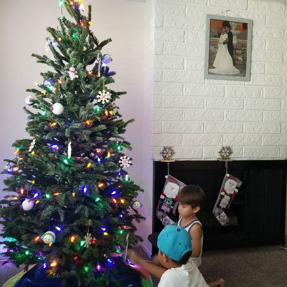 Meet your Posher, Esmeraldinee - Picture 1 of 1